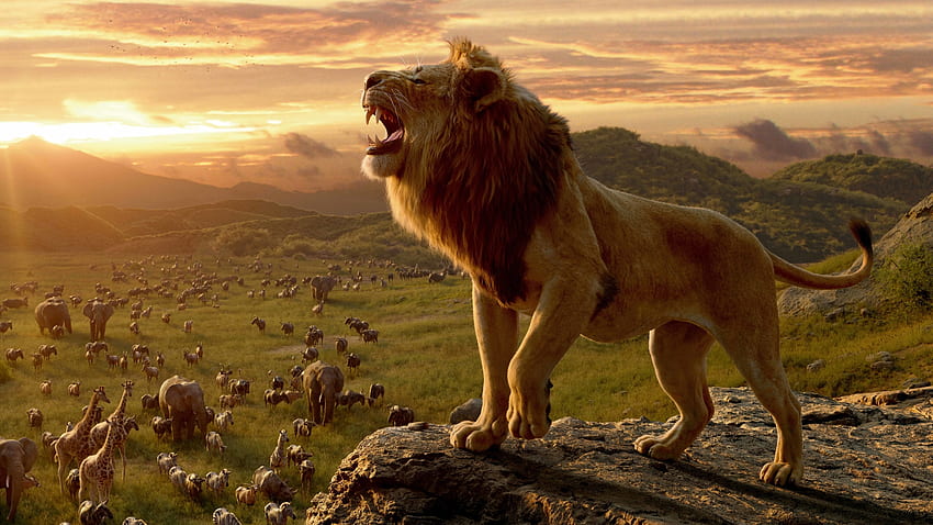 Lion From The Lion King Laptop Full , Movies , , and Background HD wallpaper  | Pxfuel