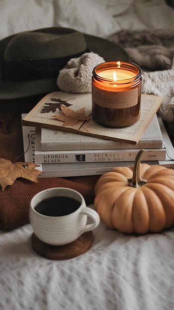Tea, books, and autumn weather is all we need ♡. Autumn graphy, Autumn ...