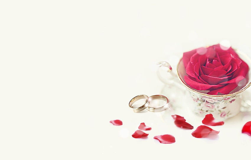 holiday, rose, wedding, rose petals, engagement rings for , section праздники, Roses Wedding HD wallpaper