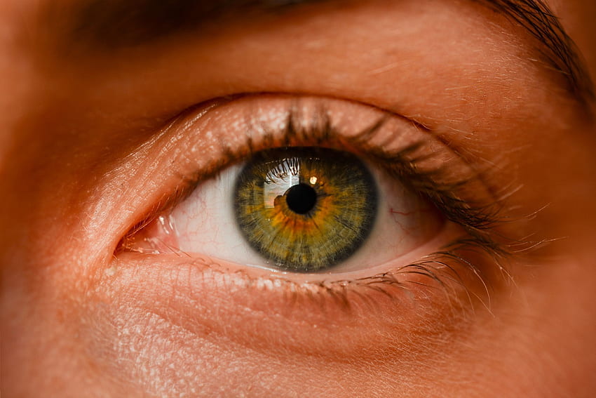 Eye Iris, Human Eye HD wallpaper