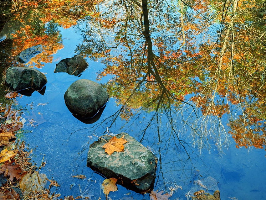Nature, Autumn, Leaves, Rock, Reflection, Colors, Color, Stone, Mirror HD wallpaper