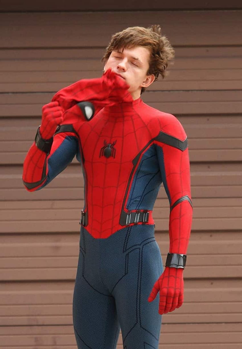 tom holland spiderman iphone - Book - Your Source for , & high quality, Tom Holland Aesthetic HD phone wallpaper