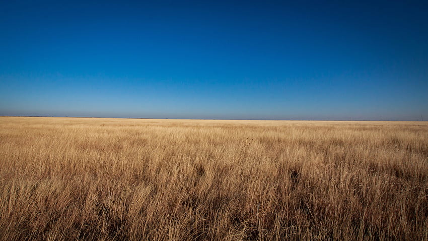 Sky, grassland, landscape HD wallpaper