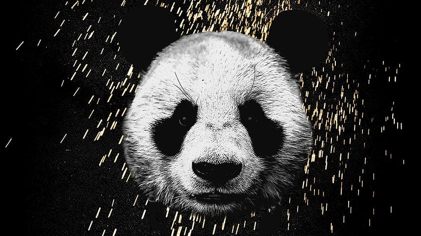 Desiigner Panda HD wallpaper