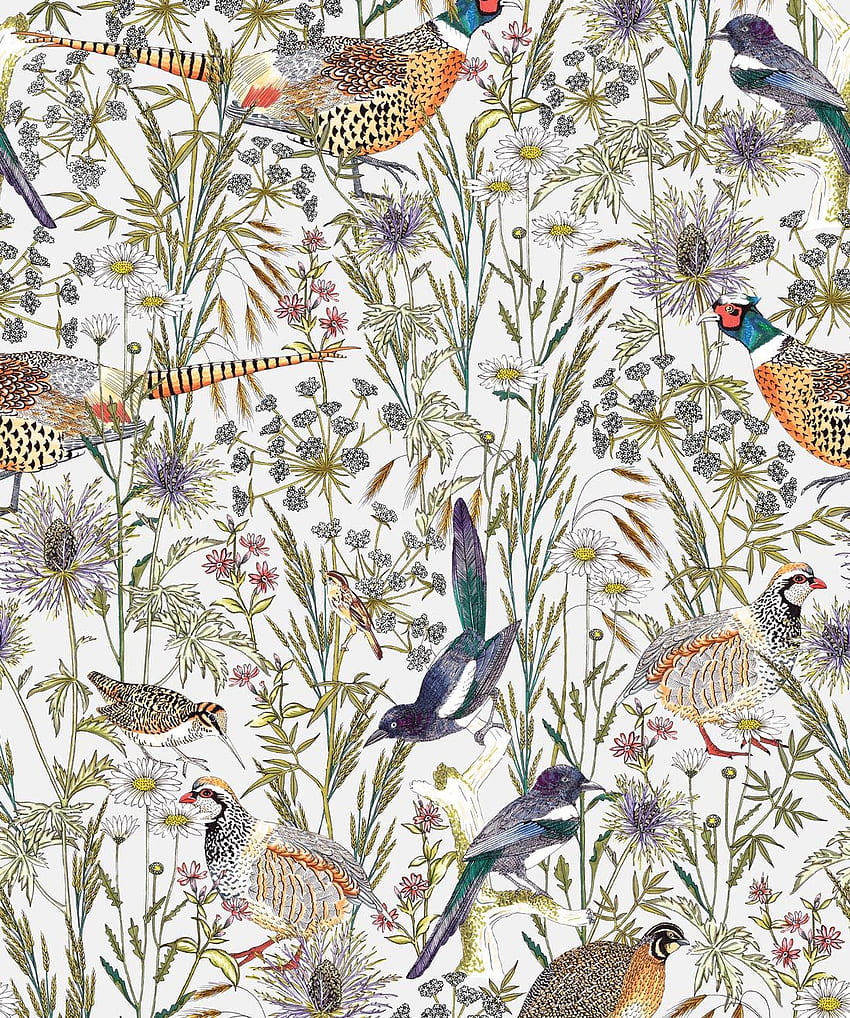Ormanlık Kuşlar, Canlı Botanik • Milton & King, Sevimli Eski Kuşlar HD telefon duvar kağıdı