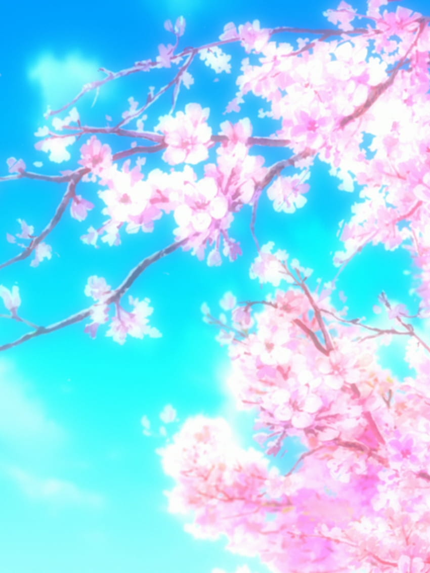 Anime Sakura Sakura Tree Cherry Blossom Sakura Blossom [] na telefon komórkowy i tablet. Poznaj Sakura Blossom. Sakura, Bing Kwiat Wiśni Tapeta na telefon HD