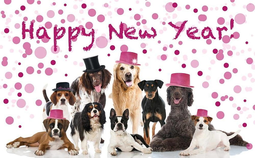 Happy New Year!、動物、犬、ピンク、カード、新年、ケイン 高画質の壁紙