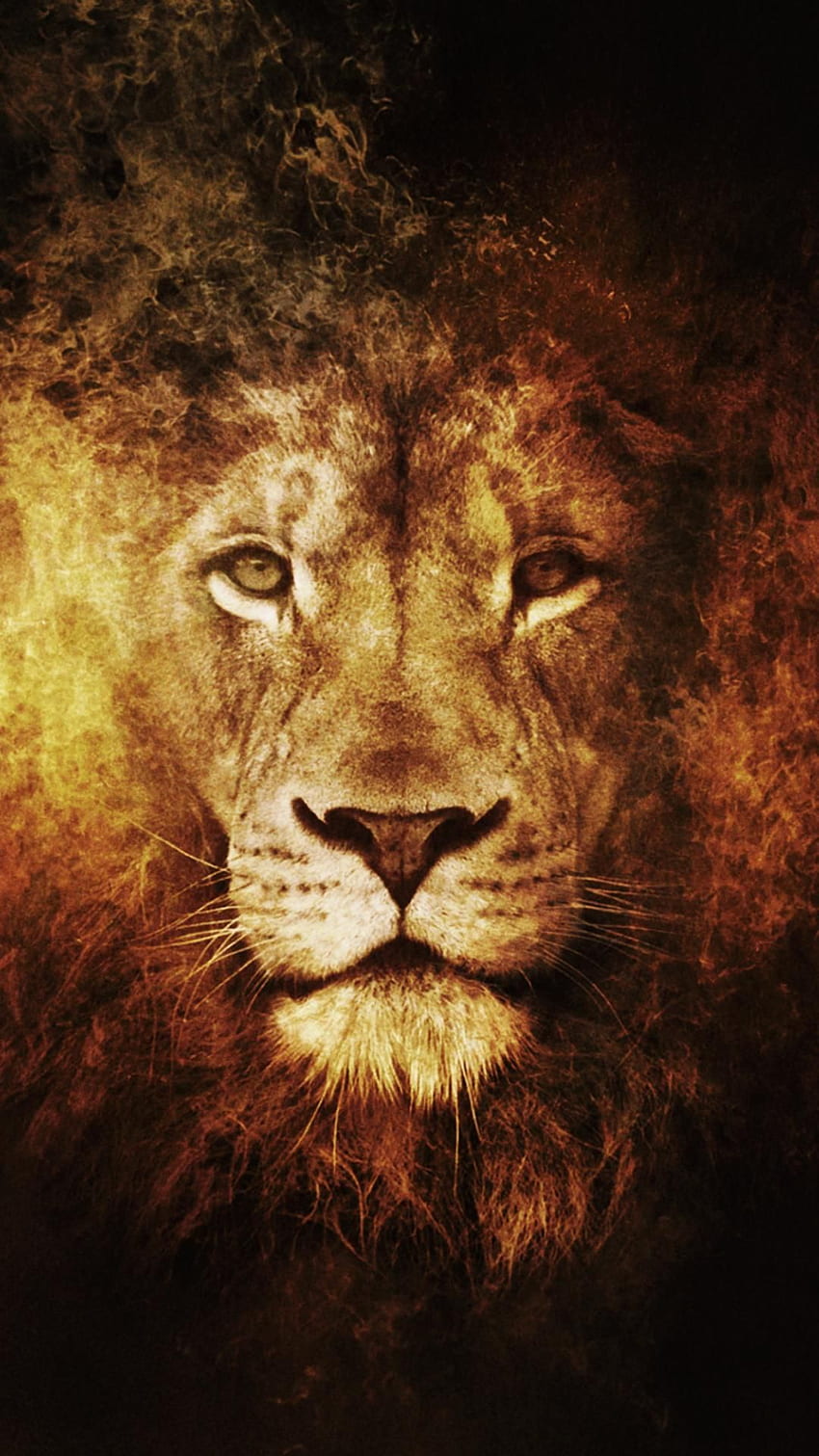 Lion Animals Lion iPhone 6 Plus . tat animals, Cheshire Cat iPhone 6 Plus HD phone wallpaper