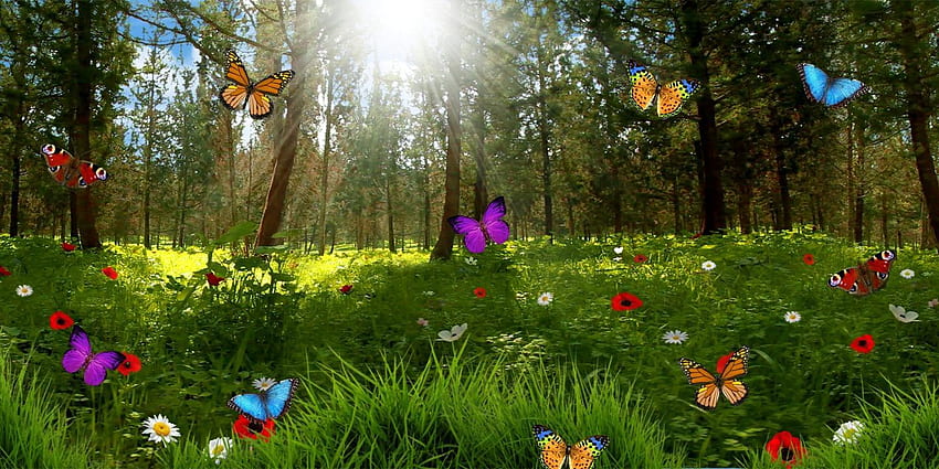 Magic forest live for Android, Magical Spring HD wallpaper
