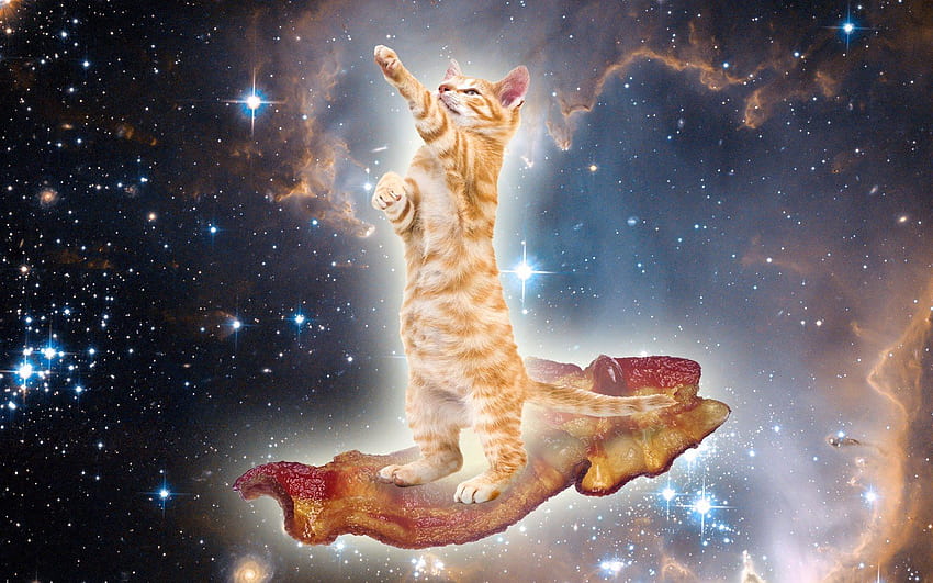 Kosmiczny Kot., Mgławica Kot Tapeta HD