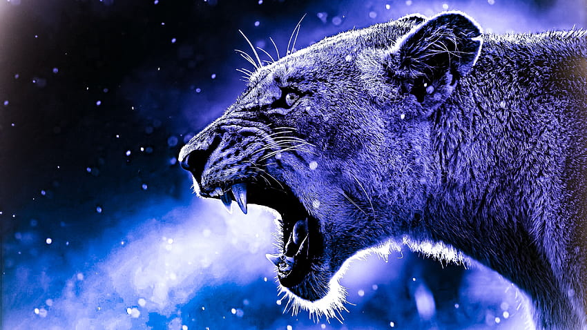 Space Lion, Brave Lion HD wallpaper