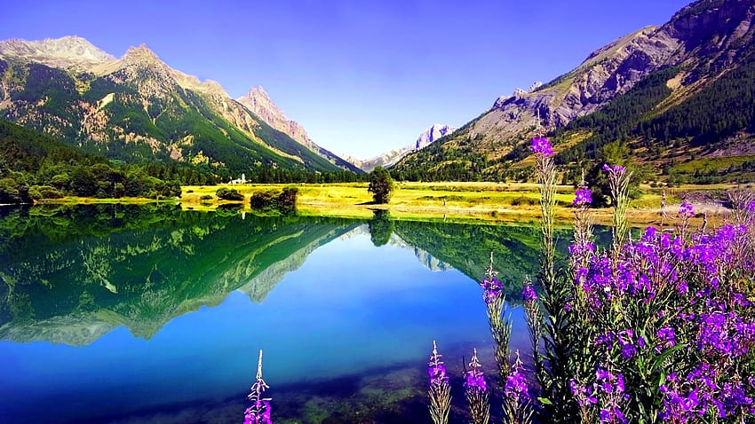 Пролетно езеро, отражение, природа, цветя, пролет, езеро, планина HD тапет