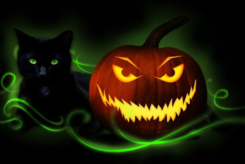 УСМИХНАТ ДЖАК, черна котка, хелоуин, тиква, котка, жак, фенер, страшно HD тапет