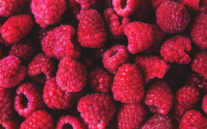 raspberries, berries, background with raspberries, ripe raspberries, berries background HD wallpaper