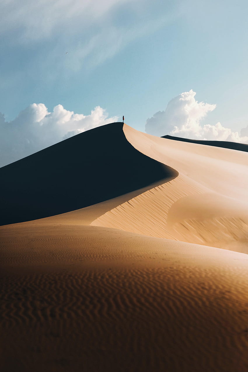 naturaleza, arena, desierto, silueta, solo, solitario fondo de pantalla del teléfono