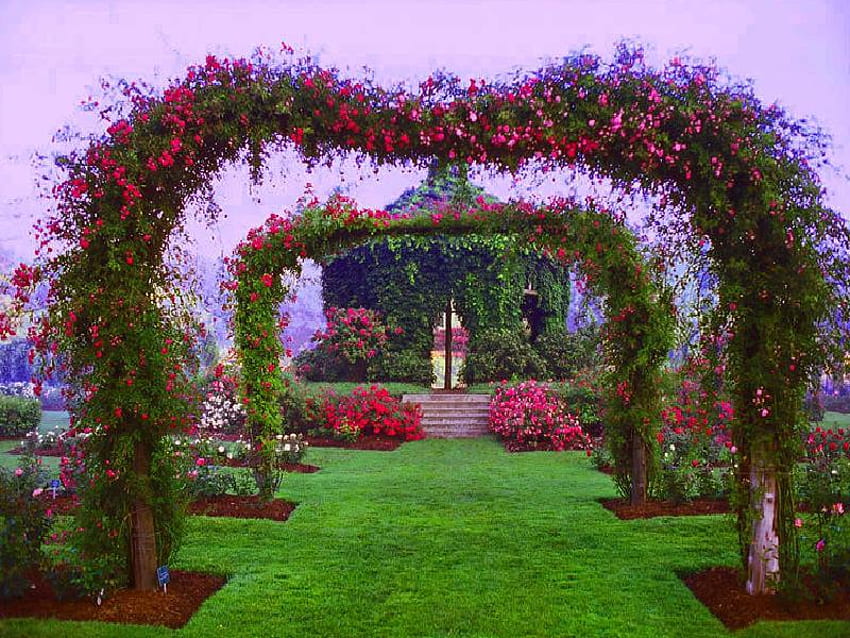 Pink Arches, arches, plants, steps, garden, bushes, grass, pink, vines, flowers HD wallpaper