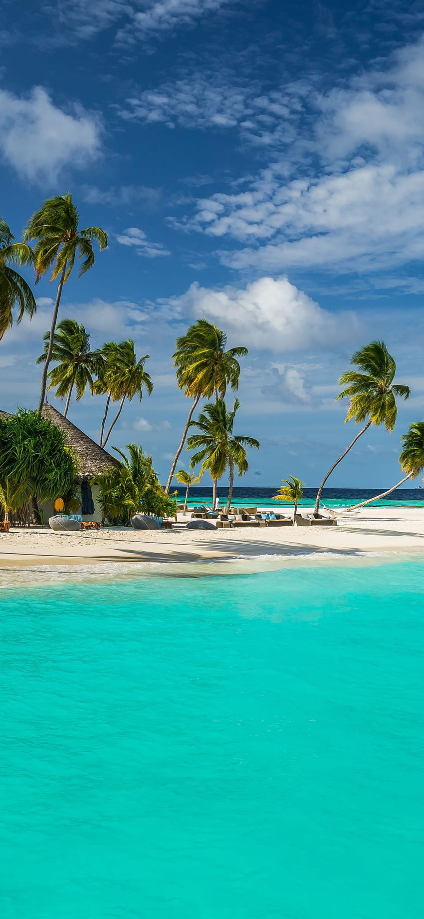 Bord de mer des Maldives, mobile, mer, palmier, Tropical, resort. Maldives , Plage , Océan, Bord de mer Oregon Fond d'écran de téléphone HD