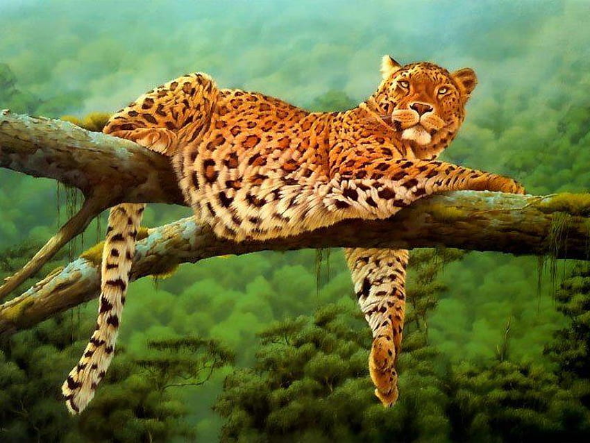 Мързелив леопард, котка, леопард, рисувана, голяма котка HD тапет