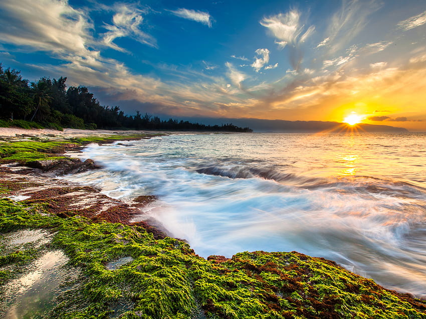 Sunset Over Maui Beach Dawn In Hawaii Ultra For Mobile Phones And Computer, Maui Sunrise HD wallpaper