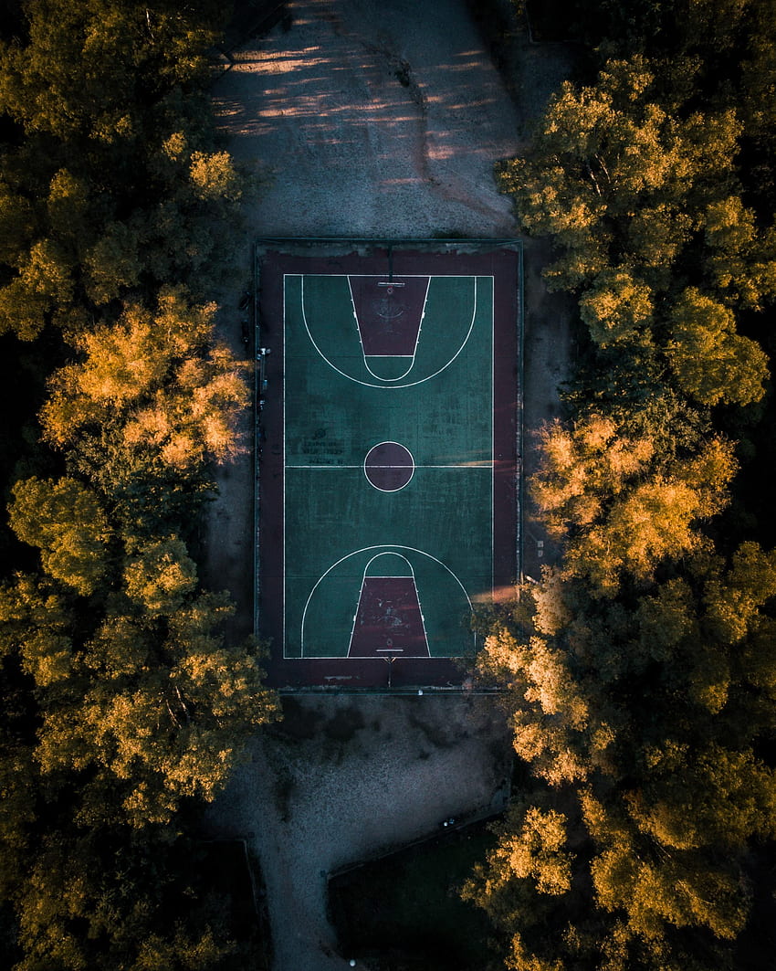 deportes, árboles, baloncesto, vista desde arriba, patio de recreo, plataforma fondo de pantalla del teléfono