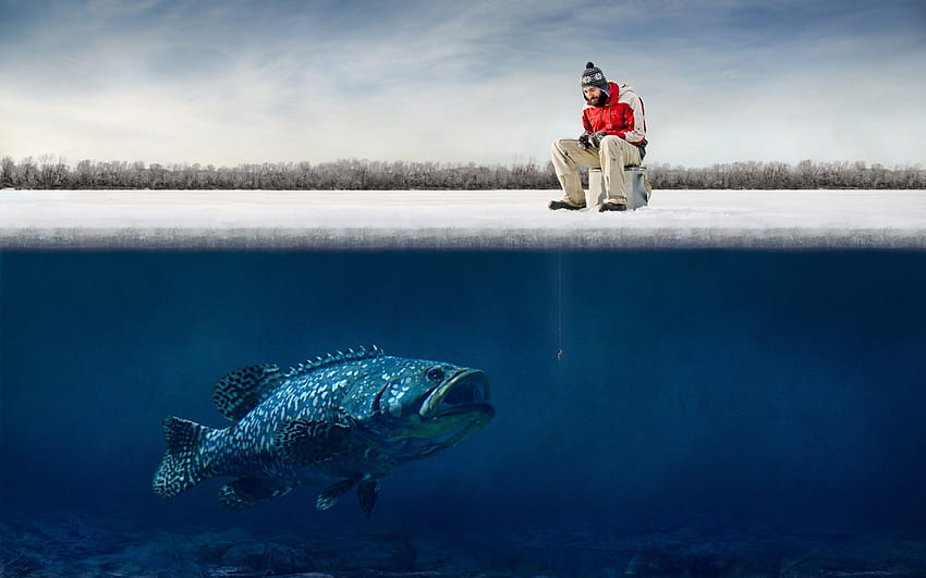 funny, Guy, Ice, Big, Fish, Hooks, Funny Underwater HD wallpaper