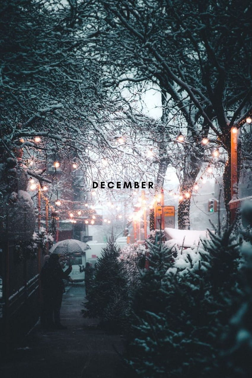 Anita Francesca Tedesco on Pinlərim.❄. Christmas tumblr, iphone christmas, Winter, Welcome December HD phone wallpaper