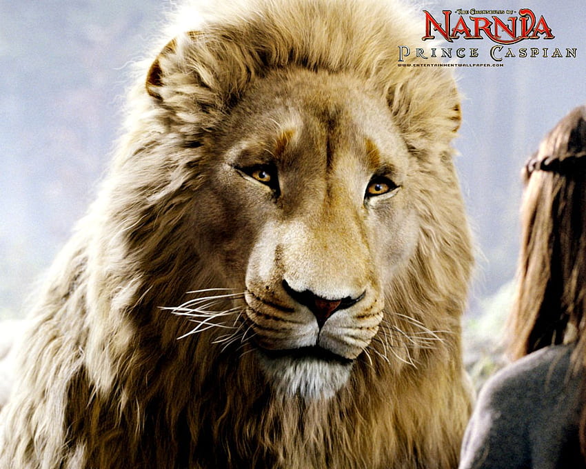 Lion, fantasy, leu, aslan, narnia, HD wallpaper