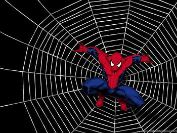 Cartoon spider web HD wallpapers | Pxfuel