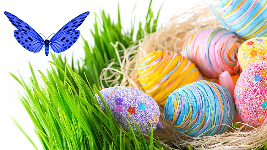 Blue Butterfly and Eggs, butterfly, Easter, grass, decorated, spring, eggs, yarn, Firefox Persona theme HD wallpaper