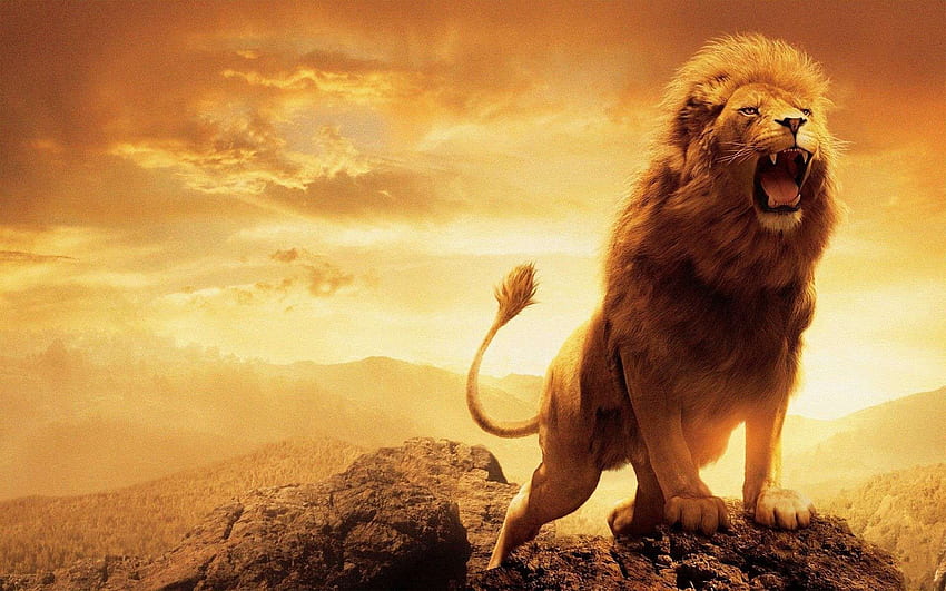 Ultra Lion, Lion Roaring Ultra HD wallpaper