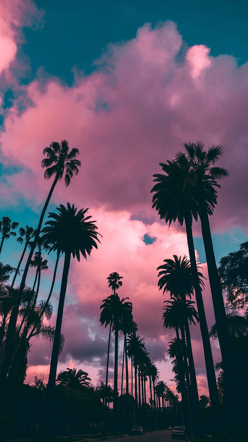 Palmiers, coucher de soleil, nuages, tropiques, ciel - palmiers Fond d'écran de téléphone HD