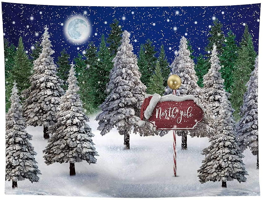 Allenjoy Winter Snowing Night Landscape Forest Backdrop Christmas Wonderland North Pole Moon Snowflake Snow Scene Pine Kids Newborn Booth Props Baby Shower ft graphy Background: Camera & HD wallpaper