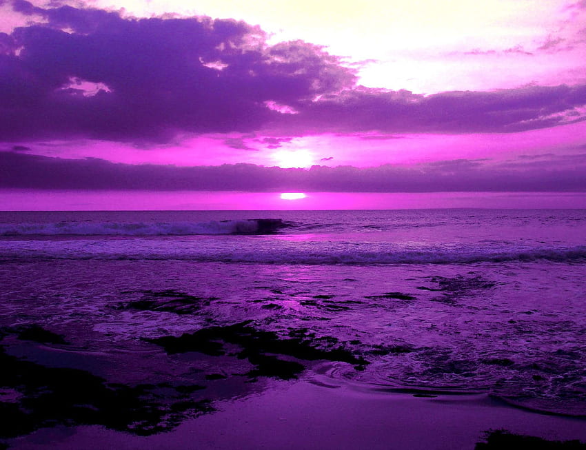 1080P Free download | Purple Scenery, Landscape Lavender HD wallpaper ...