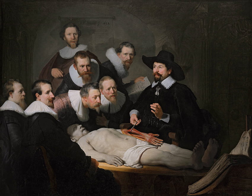 : insanlar, yağlı boya tablo, Rembrandt van Rijn, anatomi HD duvar kağıdı