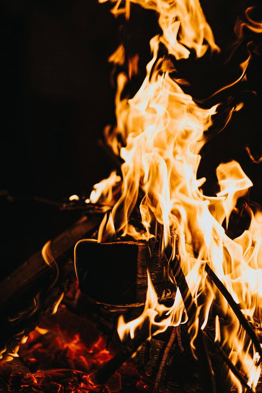 Fire, Bonfire, Dark, Flame, Firewood, To Burn, Burn HD phone wallpaper