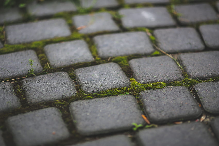 Paving stones with moss · Stock HD wallpaper