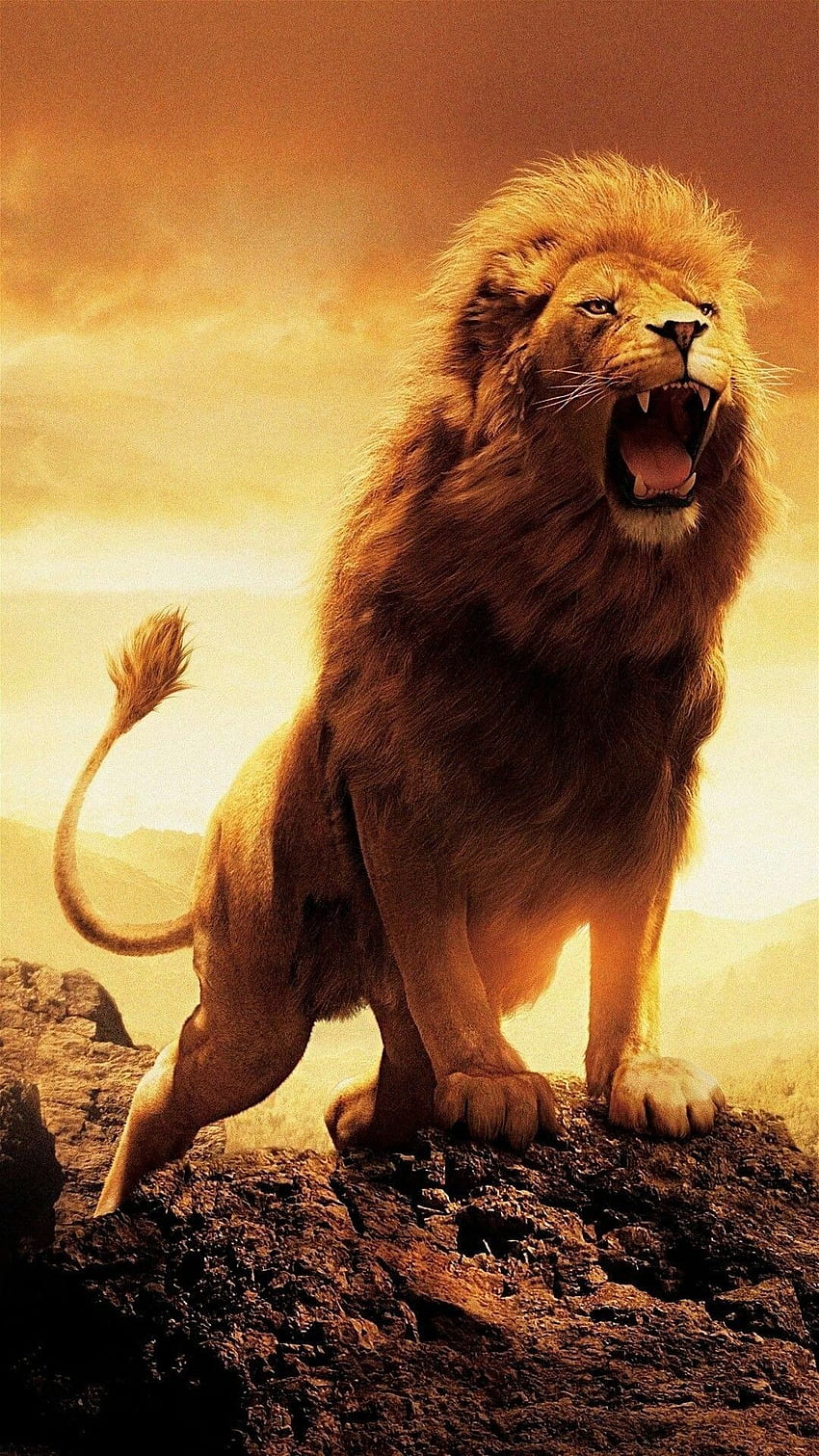 Tatuaggio del leone, Aslan Sfondo del telefono HD