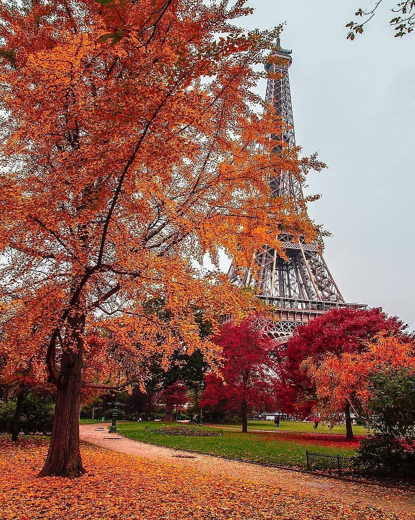 秋のパリ、エッフェル塔、フランス 秋 HD電話の壁紙