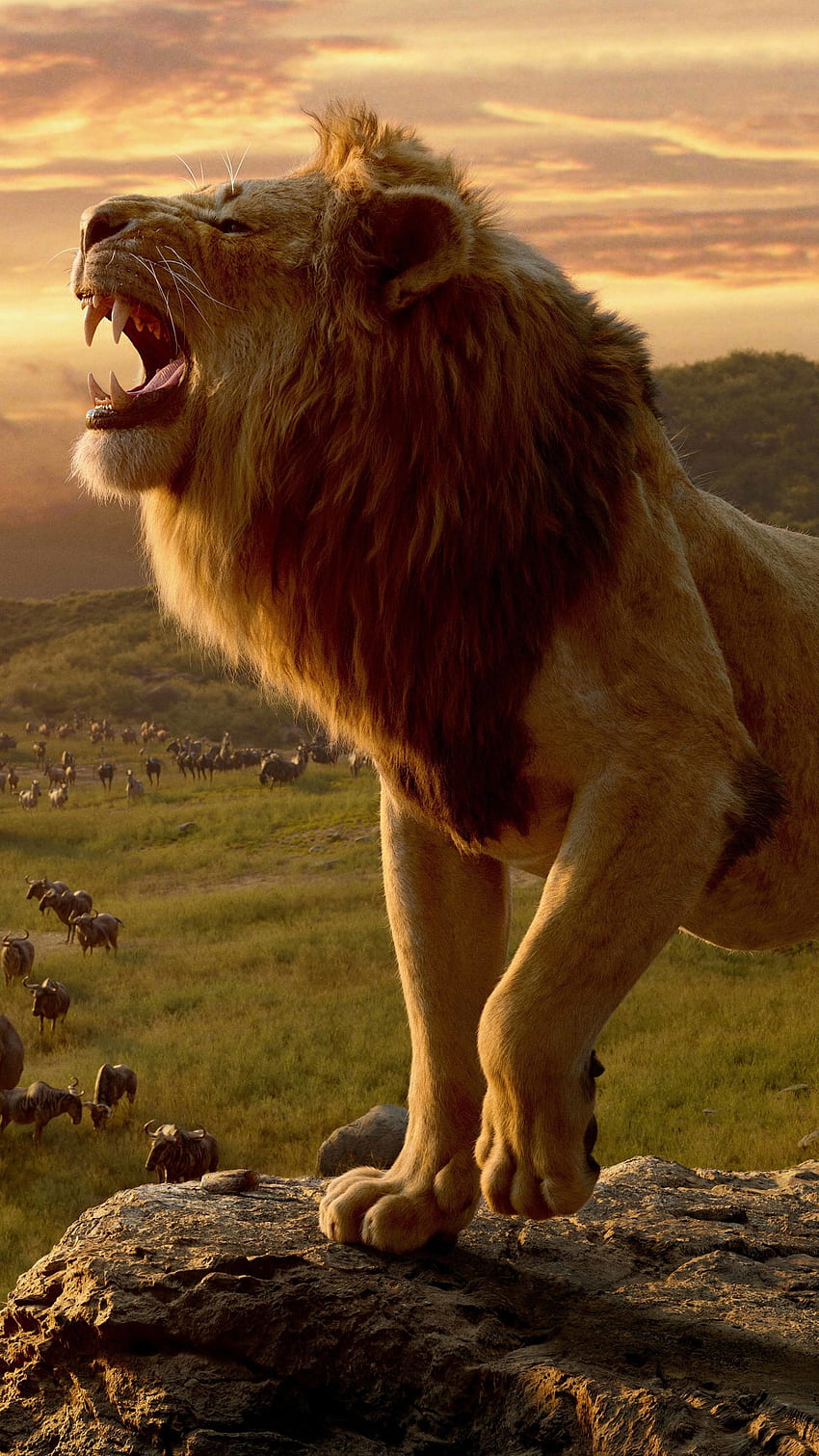 Lion, Mufasa, Jungle King HD phone wallpaper