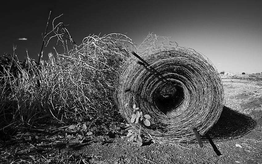 Nature, Black And White, Hay, Bale HD wallpaper