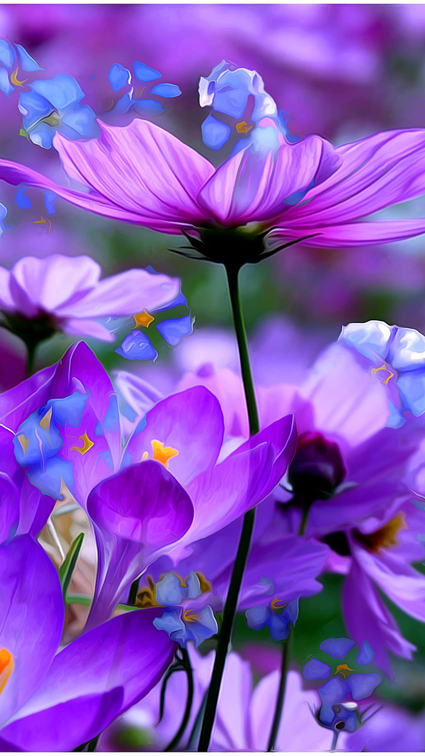 Fioletowe kwiaty, natura, kwiaty tła, kwiaty, tło Tapeta na telefon HD