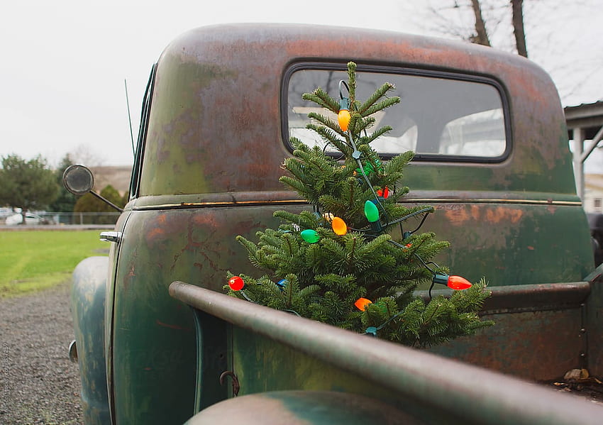 Christmas Tree In Back Of Old Truck by Tana Teel - Christmas Tree, Pickup, Vintage Truck Christmas HD wallpaper