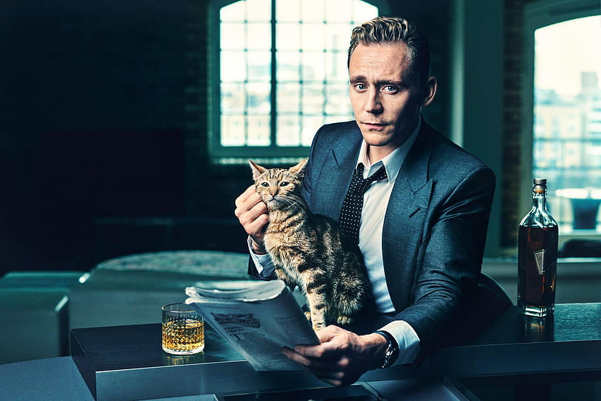 tom hiddleston, actor, cat, whiskey HD wallpaper