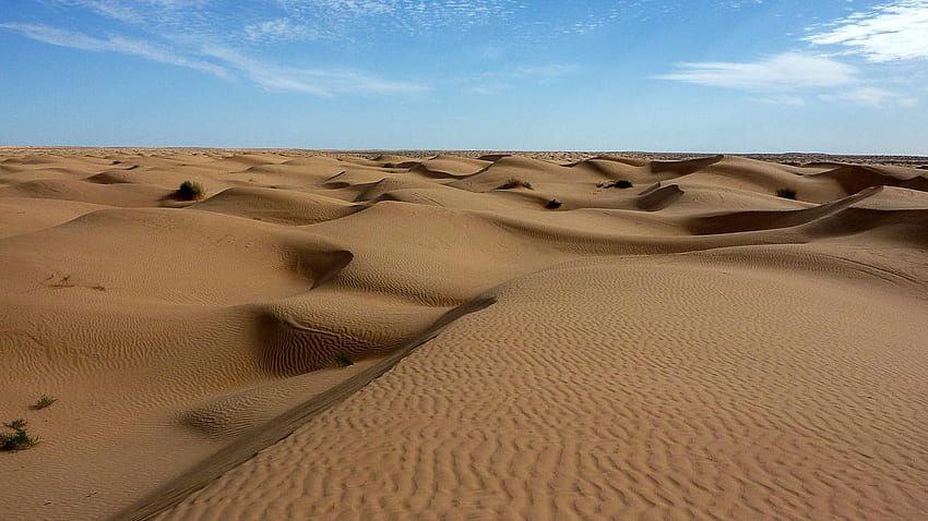 โดรนและดาวเทียมตรวจจับอารยธรรมที่สูญหายในสถานที่ที่ไม่น่าเป็นไปได้ ทะเลทรายซาอุดีอาระเบีย วอลล์เปเปอร์ HD