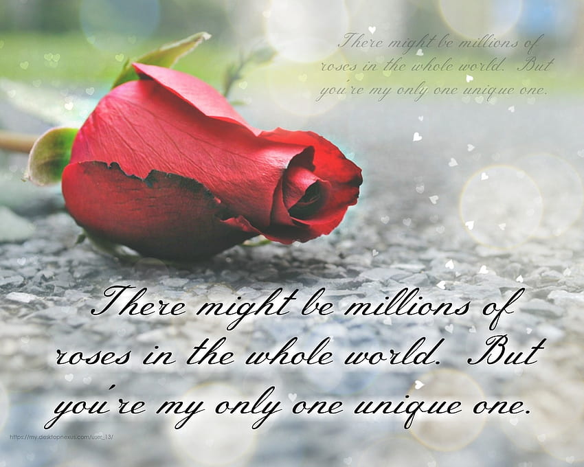 red rose wallpaper with love quotes