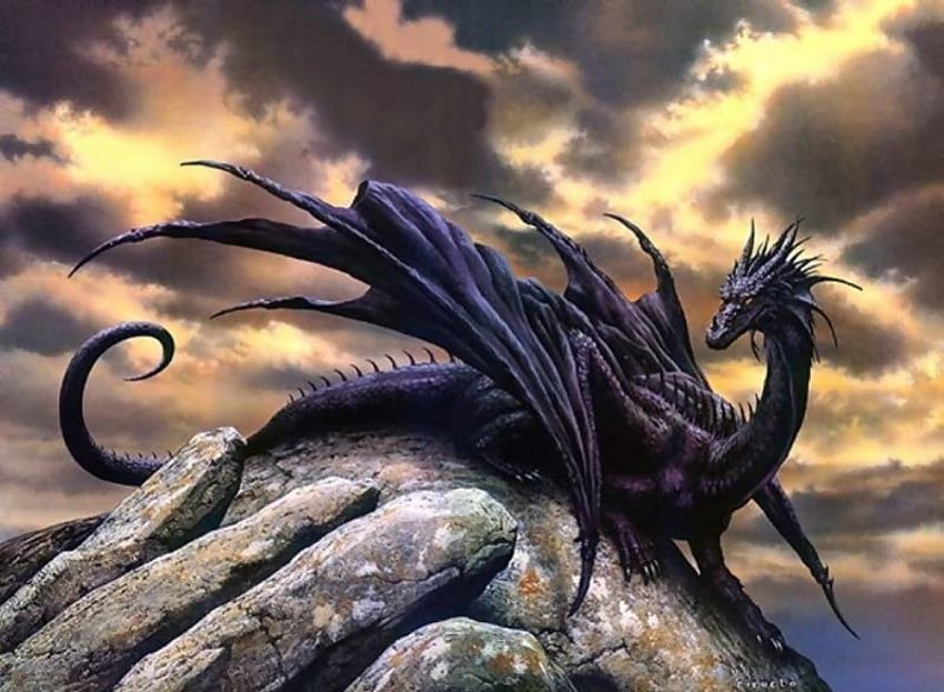 Dragão Negro, dragão papel de parede HD