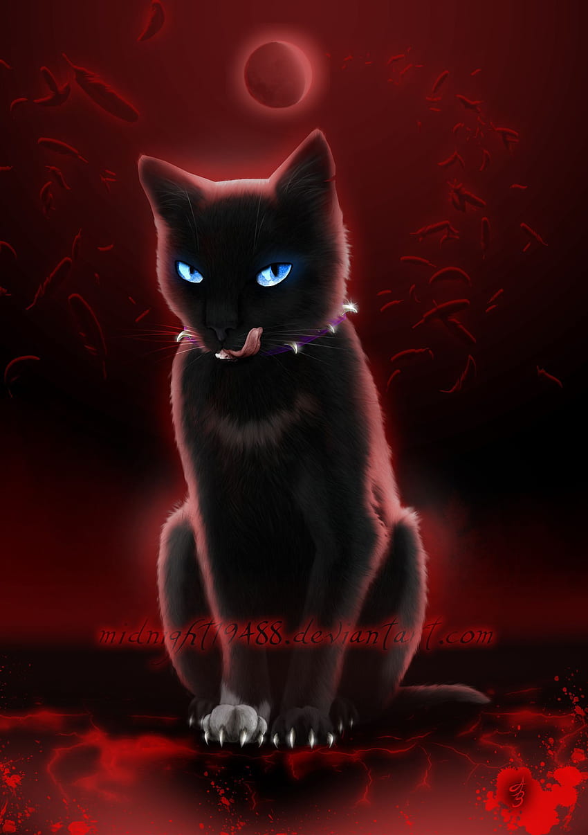 Red Cat 34 Best Red Cat Background For Mac in 2020. Warrior cats scourge, Warrior cats art, Warrior cats HD phone wallpaper