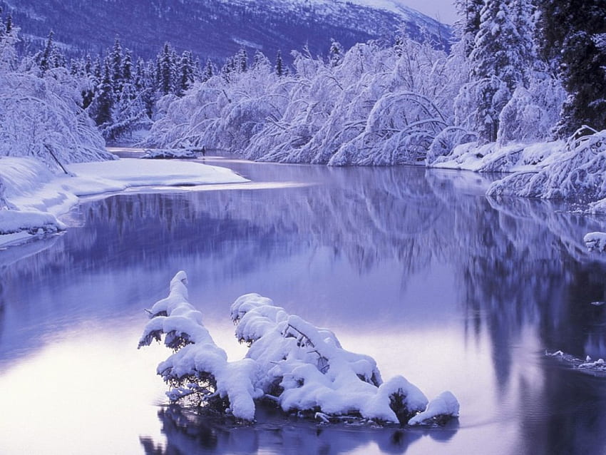 Paisaje de invierno, frío, invierno, paisaje, agua. fondo de pantalla