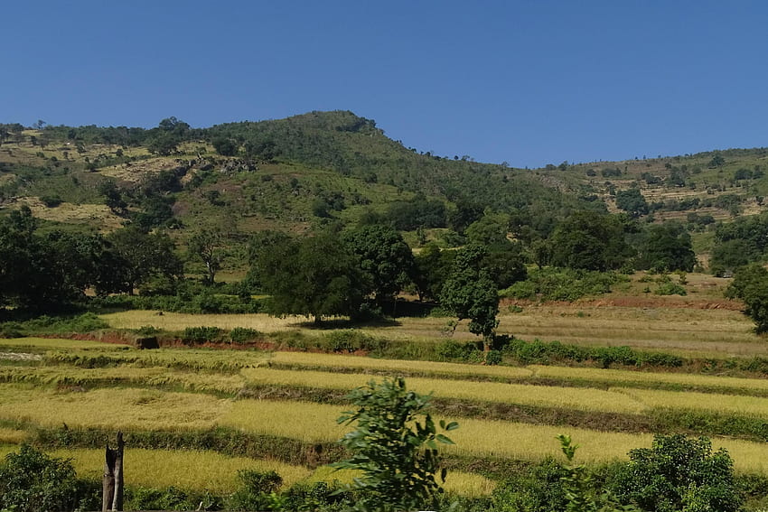 ARAKU VALLEY Photos, Images and Wallpapers, HD Images, Near by Images -  MouthShut.com