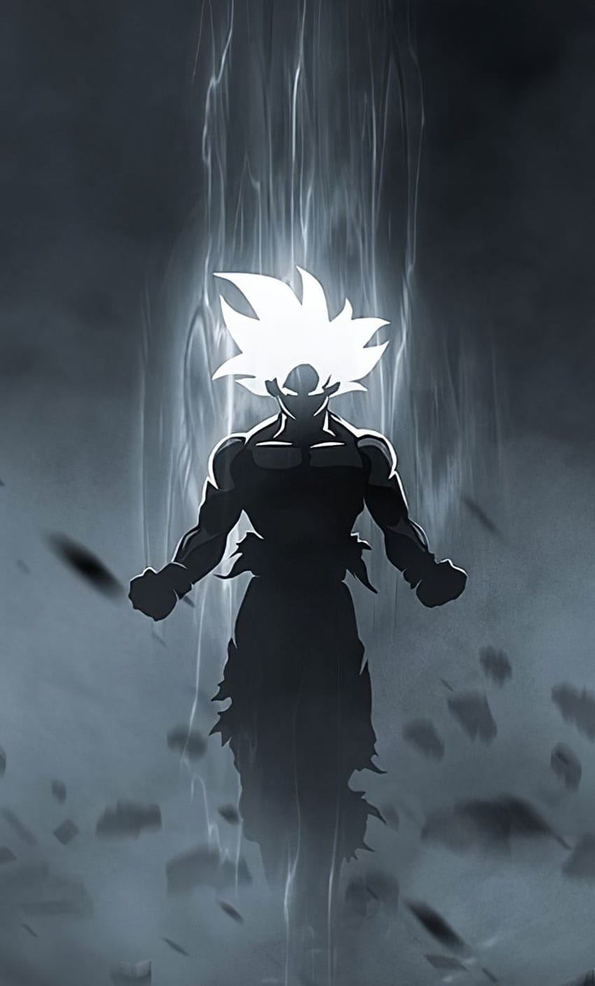 Goku black, dbz, dragon, ball, HD phone wallpaper